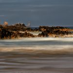 DSC_2399 copie